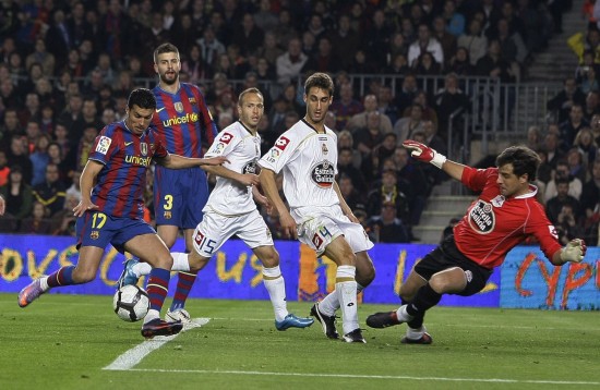 从未放弃对 从未放弃对